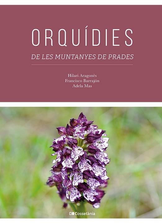 ORQUÍDIES DE LES MUNTANYES DE PRADES | 9788413563817 | ARAGONÈS CABRÉ, HILARI / BARRAJÓN IBÁÑEZ, FRANCISCO / MAS CARRE, ADELA