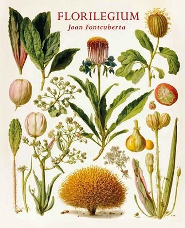 FLORILEGIUM | 9788480817936 | FONTCUBERTA, JOAN