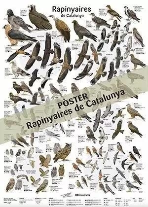 RAPINYAIRES DE CATALUNYA POSTER 50 X 70 CM | 9788413563787