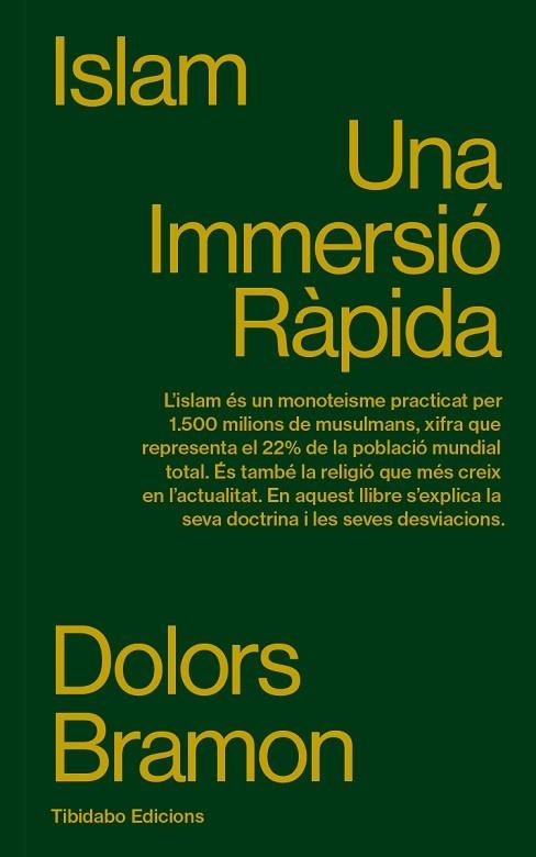 ISLAM UNA IMMERSIÓ RÀPIDA | 9788410013100 | BRAMON, DOLORS