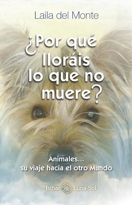 ¿POR QUÉ LLORÁIS LO QUE NO MUERE? ANIMALES, SU CAMINO AL OTRO MUNDO | 9788494065842 | DEL MONTE, LAILA