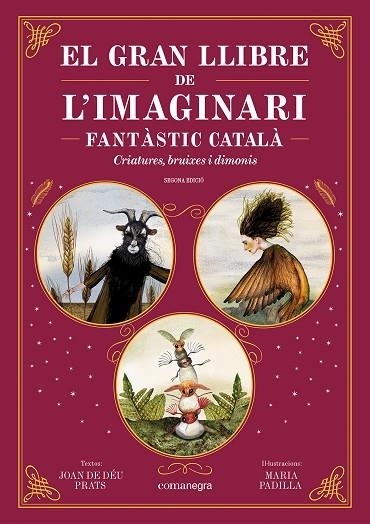 EL GRAN LLIBRE DE L'IMAGINARI FANTÀSTIC CATALÀ CRIATURES, BRUIXES I DIMONIS | 9788410161344 | PRATS, JOAN DE DÉU/PADILLA, MARIA