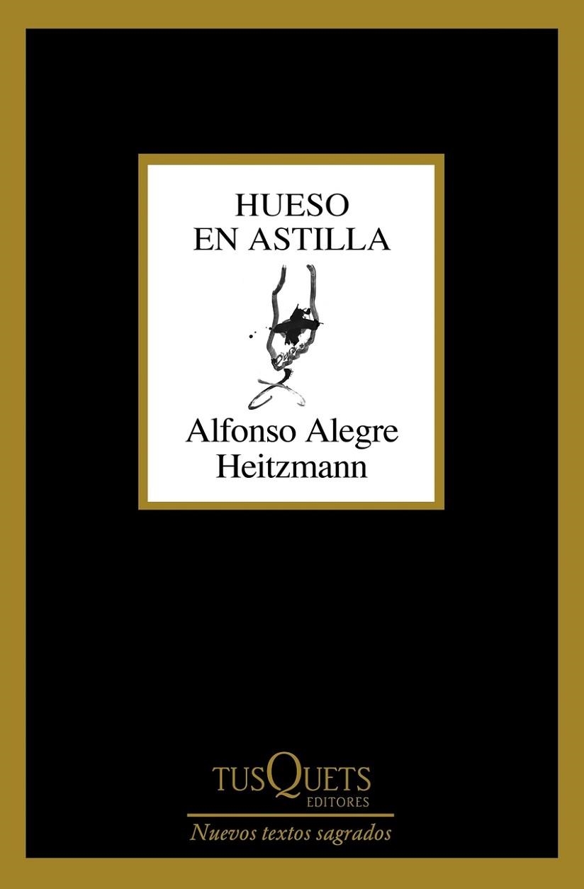 HUESO EN ASTILLA | 9788411075435