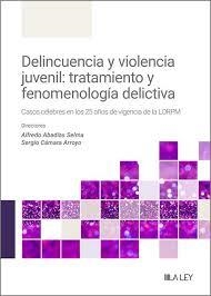 DELINCUENCIA Y VIOLENCIA JUVENIL: TRATAMIENTO Y FENOMENOLOGÍA DELICTIVA. CASOS CELEBRES EN LOS 25 AÑOS DE VIGENCIA DE LA LORPM | 9788410292352 | ABADÍAS SELMA, ALFREDO/ CAMARA ARROYO, SERGIO