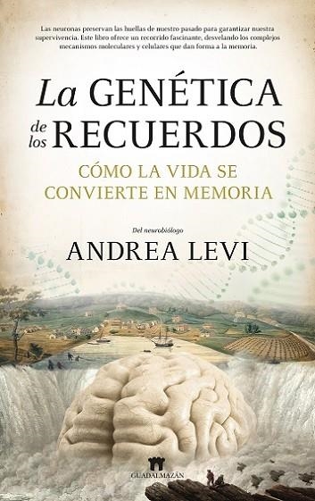 LA GENÉTICA DE LOS RECUERDOS. CÓMO LA VIDA SE CONVIERTE EN MEMORIA | 9788419414540 | LEVI, ANDREA