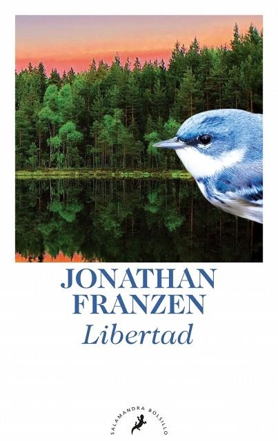 LIBERTAD | 9788498384789 | FRANZEN, JONATHAN