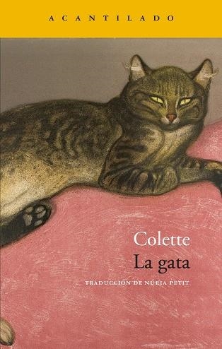 LA GATA | 9788419958488 | COLETTE