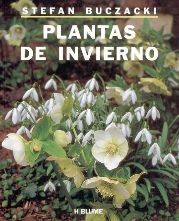 PLANTAS DE INVIERNO | 9788489840010 | BUCZACKI,STEFAN