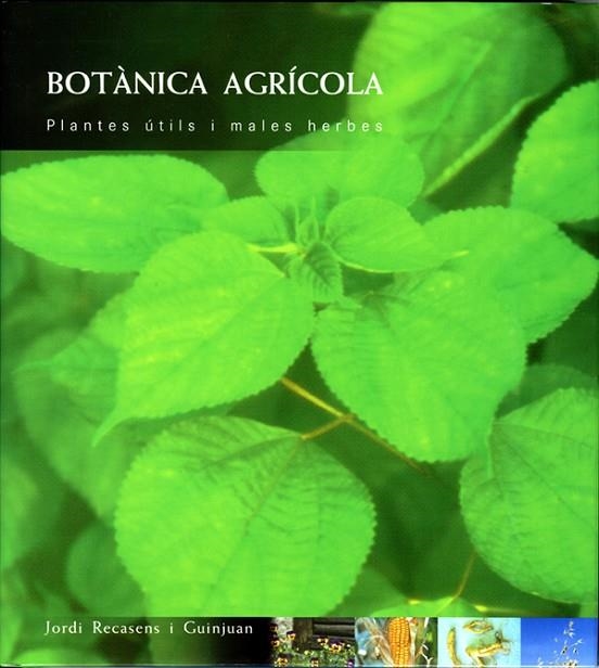 BOTANICA AGRICOLA,PLANTES UTILS I MALES HERBES | 9788484090618 | RECASENS I GUINJUAN,JORDI