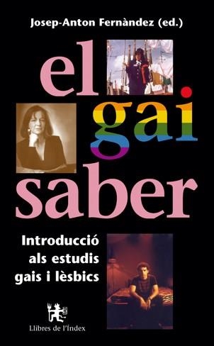 GAI SABER INTRODUCCIO ALS ESTUDIS GAIS I LESBICS | 9788495317148 | FERNANDEZ,JOSEP-ANTON