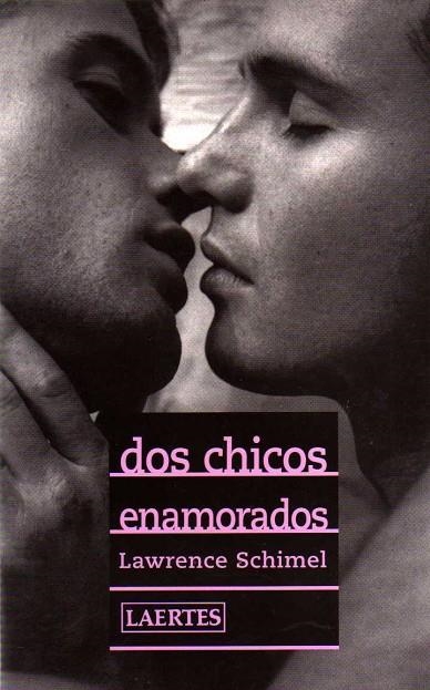 DOS CHICOS ENAMORADOS | 9788475844640 | SCHIMEL,LAWRENCE