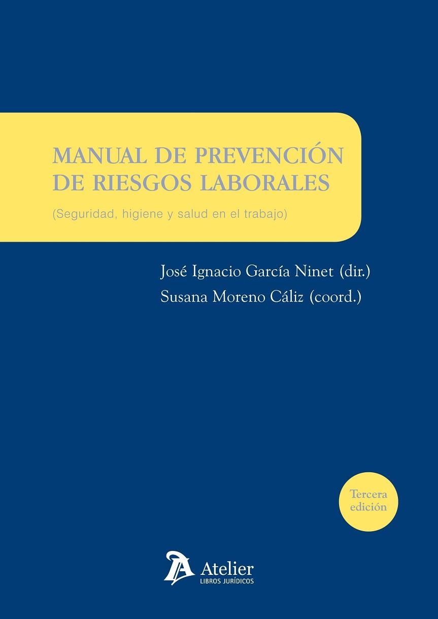 MANUAL DE PREVENCION DE RIESGOS LABORALES (SEGURIDAD, HIGIENE Y SALUD EN EL TRABAJO) | 9788492788941 | GARCIA NINET,JOSE IGNACIO