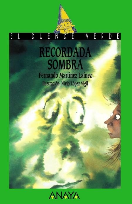 RECORDADA SOMBRA | 9788466715652 | MARTINEZ LAINEZ,FERNANDO