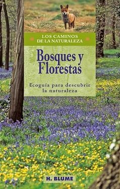 BOSQUES Y FLORESTAS.ECOGUIA PARA DESCUBRIR LA NATURALEZA | 9788489840287 | VARIOS AUTORES