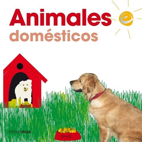 ANIMALES DOMESTICOS | 9788448014834 | AA. VV.