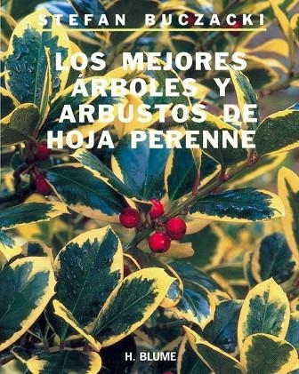 MEJORES ARBOLES Y ARBUSTOS DE HOJA PERENNE | 9788489840041 | BUCZACKI,STEFAN