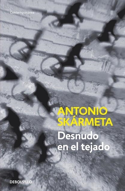 DESNUDO EN EL TEJADO | 9788497931205 | SKARMETA,ANTONIO