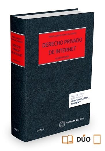 DERECHO PRIVADO DE INTERNET | 9788447047703 | MIGUEL ASENSIO,PEDRO ALBERTO DE