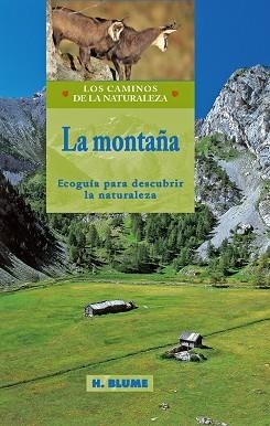 MONTAÑA. ECOGUIA PARA DESCUBRIR LA NATURALEZA | 9788489840324 | VARIOS AUTORES