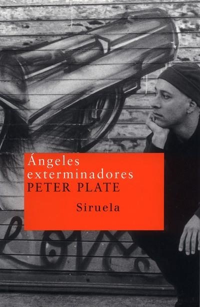 ANGELES EXTERMINADORES | 9788478446957 | PLATE,PETER