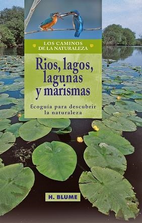 RIOS LAGOS LAGUNAS Y MARISMAS  ECOGUIA PARA DESCUBRIR LA NATURALEZA | 9788489840331 | VARIOS AUTORES